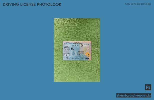 USA Kentucky Führerschein Fotoansicht 2022-heute